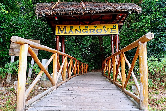 Bintan Mangrove Discovery Tour - Quick highlights