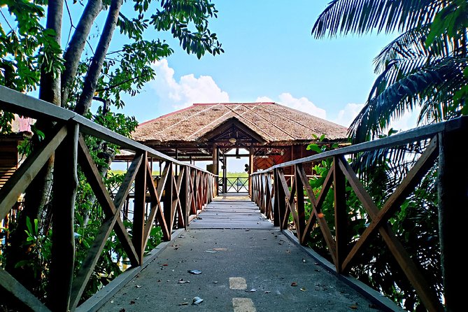Bintan Mangrove Discovery Tour - Price and value: what $26.63 per person really buys you