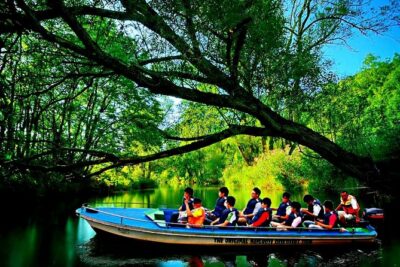 Bintan Mangrove Discovery Tour - Pickup from Lagoi hotels and the ferry terminal (timing matters)