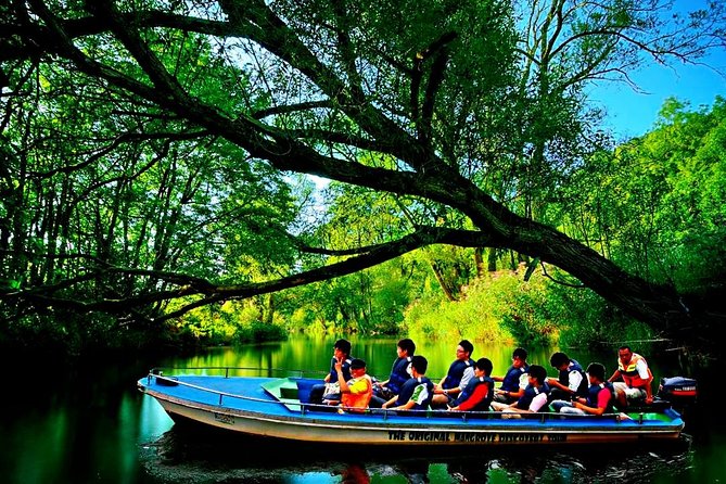 Bintan Mangrove Discovery Tour - Pickup from Lagoi hotels and the ferry terminal (timing matters)