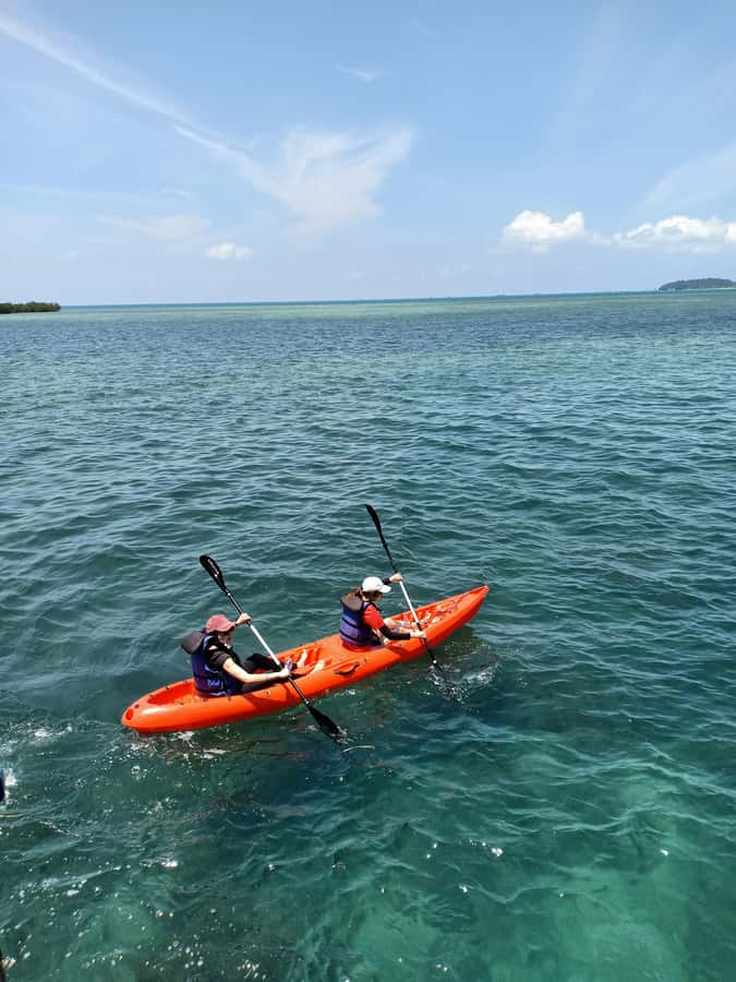 Bintan Snorkeling - Key Things You’ll Notice on This Bintan Snorkeling Tour
