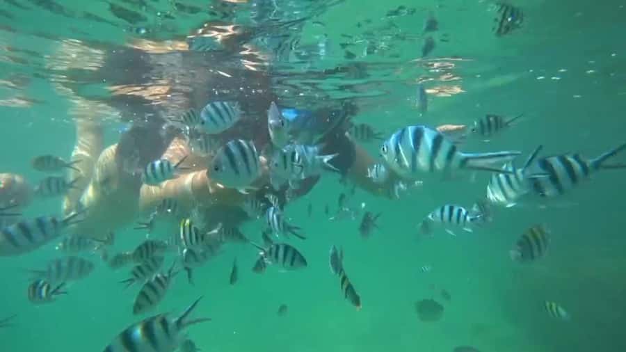 Bintan Snorkeling - Lagoi Bay Snorkeling: A Simple Half-Day in the Riau Islands