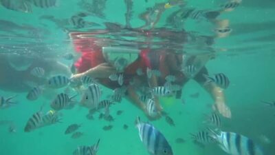 Bintan Snorkeling - Getting There: Pickup Options and the Real Meaning of “4 Hours”
