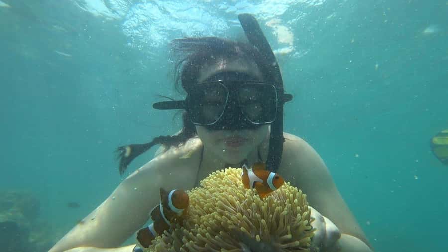 Bintan Snorkeling - Kayaking - Fun Fishing - Water Activity - Guided snorkeling in Bintan: Nemo, urchins, starfish, and reef viewing