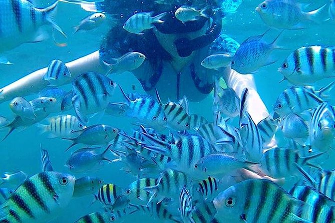 Bintan Snorkeling Tour - Kayaking and Fun Fishing at the Kelong Stop