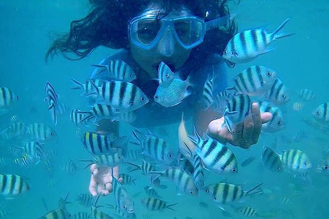 Bintan Snorkeling Tour - Price and Value: Is $50.03 a Good Deal for a Private Day?