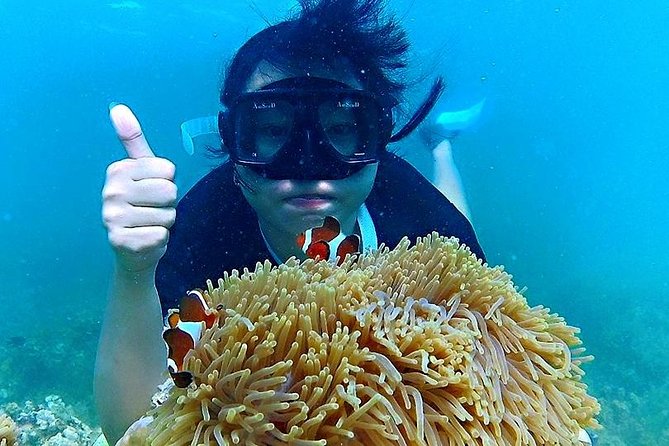 Bintan Snorkeling Tour - Who should book this private Bintan snorkeling tour?