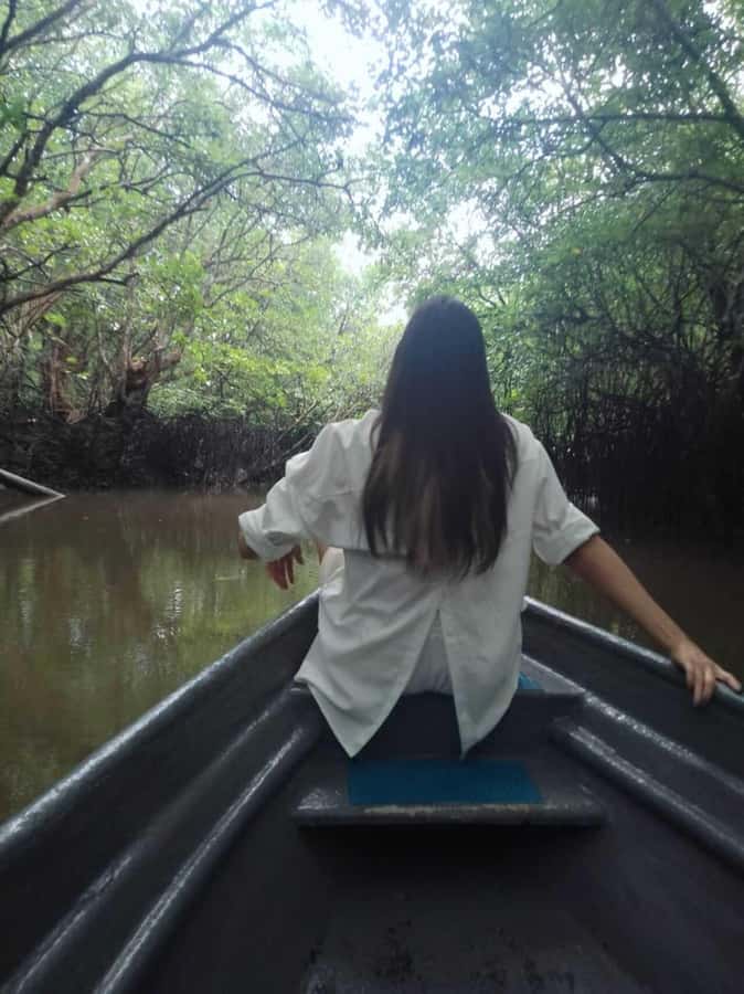 Bintan Tour Mangrove or Fireflies - Why This 1-Hour Mangrove and Fireflies Tour Works So Well