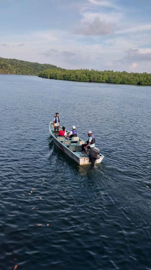 Bintan Tour Mangrove or Fireflies - Sliding Through Mangroves by Motorboat: What You’ll Experience on the Water