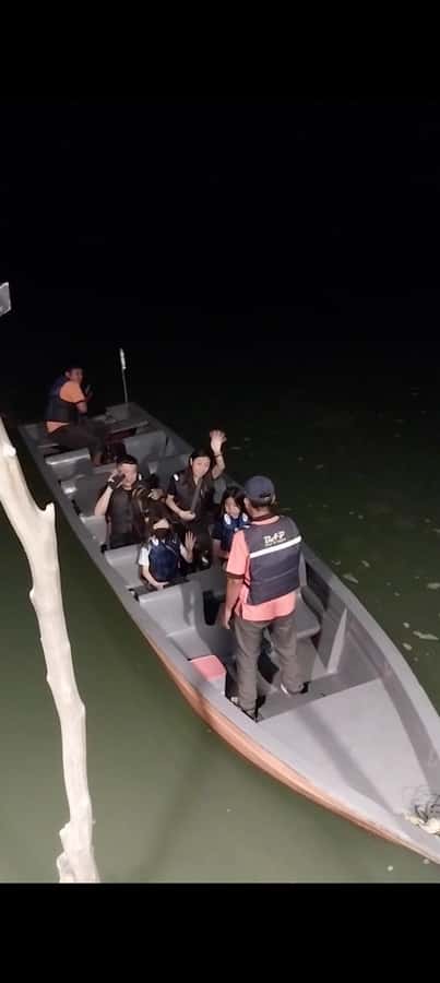 Bintan Tour Mangrove or Fireflies - Fireflies at Dusk: The Moment the River Turns Magical