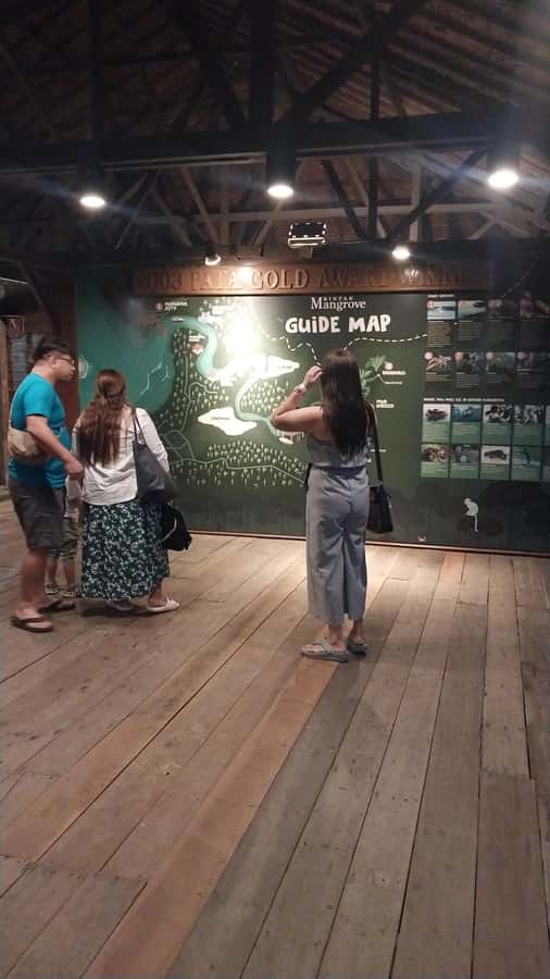 Bintan Tour Mangrove or Fireflies - Wildlife Spotting Without Getting Your Hopes Up Too High
