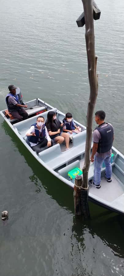 Bintan Tour Mangrove or Fireflies - Getting From Your Resort to the River: Pickup and the Dusk Clock