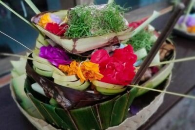 Blessing and Traditional Healing at Balian Jro Gede Eka Sukawati - Getting picked up in Seminyak: comfort, translation, and an easy evening