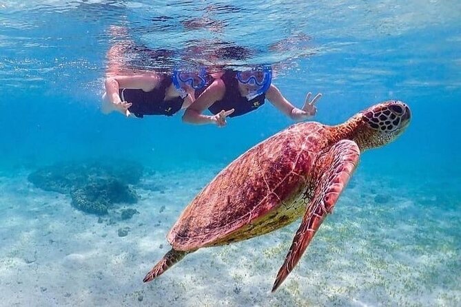Bloo Lagoon Snorkeling East Bali Includes Transportation & Lunch - What gear and timing mean for comfort (especially in east Bali)
