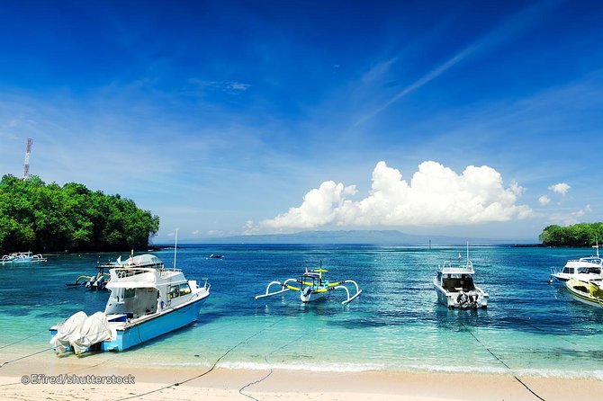 Bloo Lagoon Snorkeling East Bali Includes Transportation & Lunch - The Lempuyang Temple upgrade: Gates of Heaven photos with real trade-offs