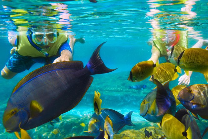 Bloo Lagoon Snorkeling East Bali Includes Transportation & Lunch - Who this tour suits best (and who should rethink it)