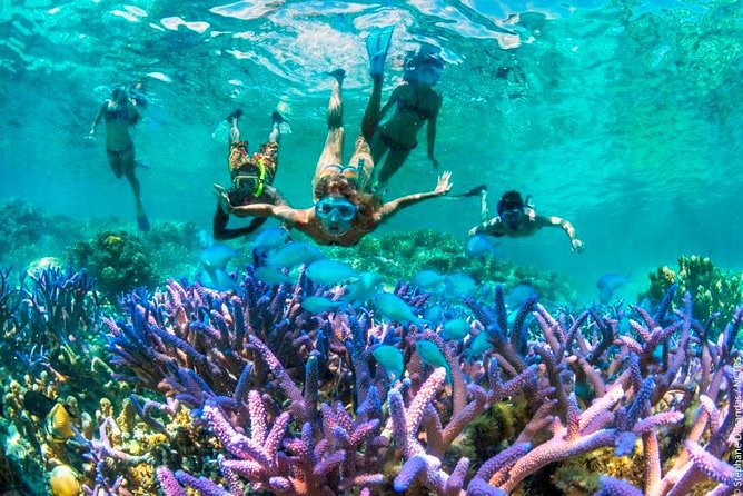 Bloo Lagoon Snorkeling East Bali Includes Transportation & Lunch - The Blue Lagoon portion: a full snorkel block, not a drive-by