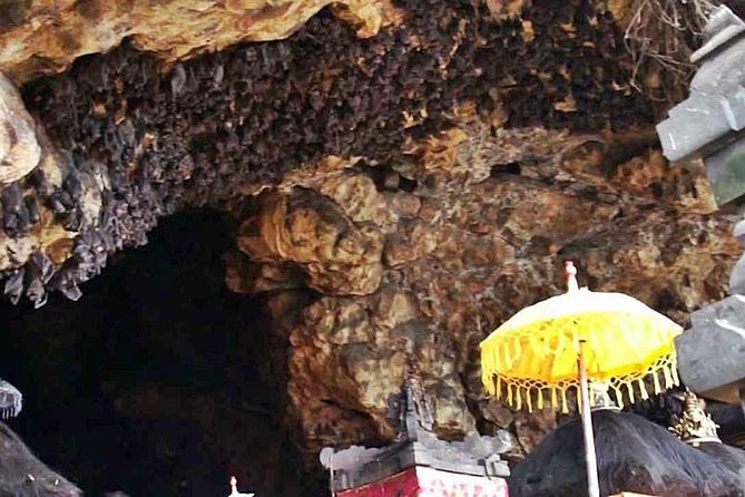 Blow Lagoon Bali Snorkeling and see Bali Bats Cave Temple - Pura Goa Lawah Bat Cave Temple: Thousands of Tail Bats