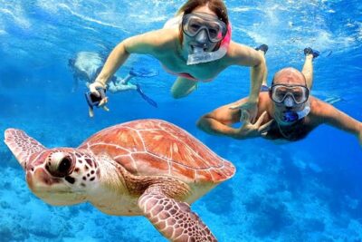 Blow Lagoon Bali Snorkeling and see Bali Bats Cave Temple - Blue Lagoon Snorkeling: Boat, Equipment, and What You’ll Spot