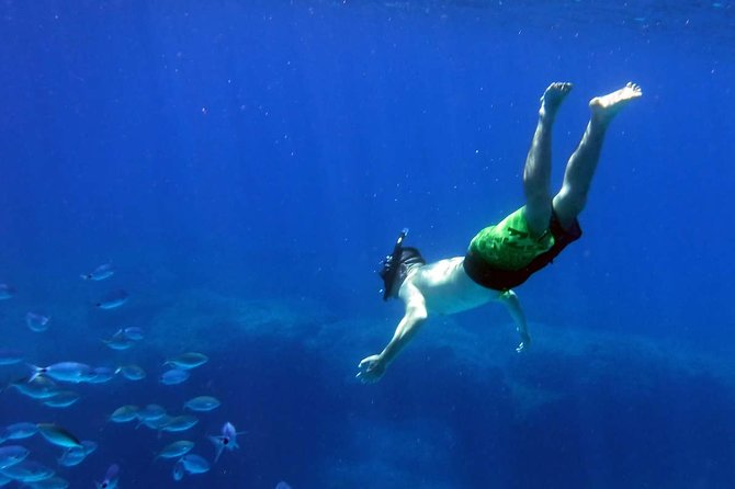 Blow Lagoon Bali Snorkeling and see Bali Bats Cave Temple - Price and Value for a Private Snorkel + Bat Cave Visit