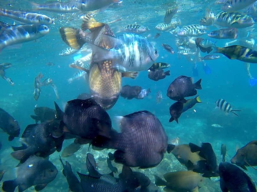 Blue Lagon Snorkeling, Waterfall, and Celuk Village Tour - Two Snorkel Stops: Blue Lagoon and Tanjung Jepun