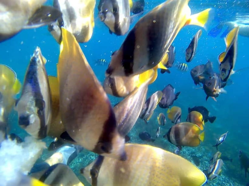 Blue Lagon Snorkeling, Waterfall, and Celuk Village Tour - Traditional Lunch by the Beach: fuel that doesn’t feel like a detour