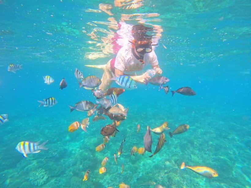 Blue Lagon Snorkeling, Waterfall, and Celuk Village Tour - Balinese Coffee and Tea Tasting: more than just a stop