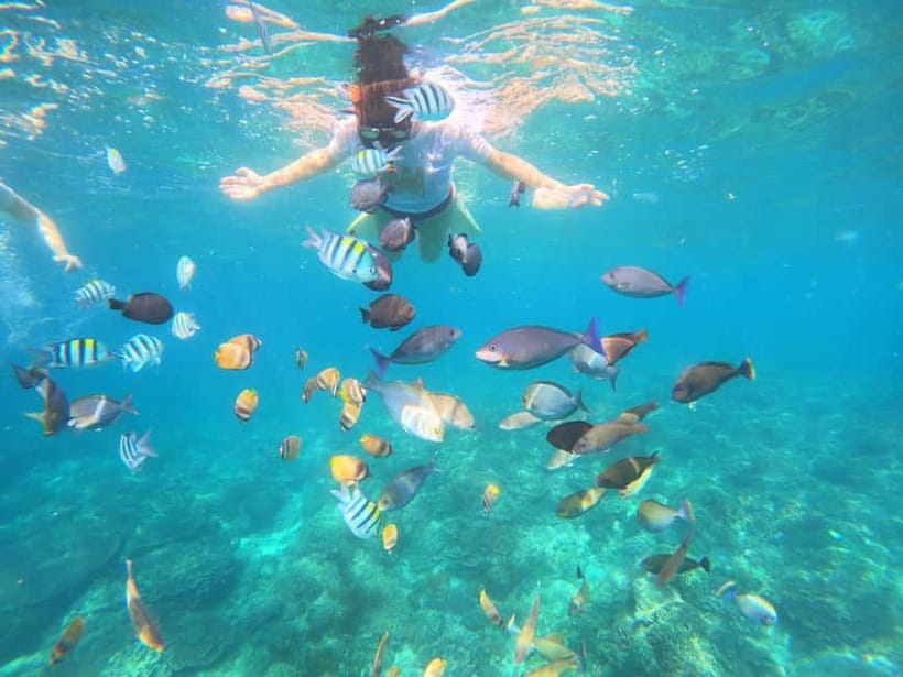 Blue Lagon Snorkeling, Waterfall, and Celuk Village Tour - A few smart packing notes before you go