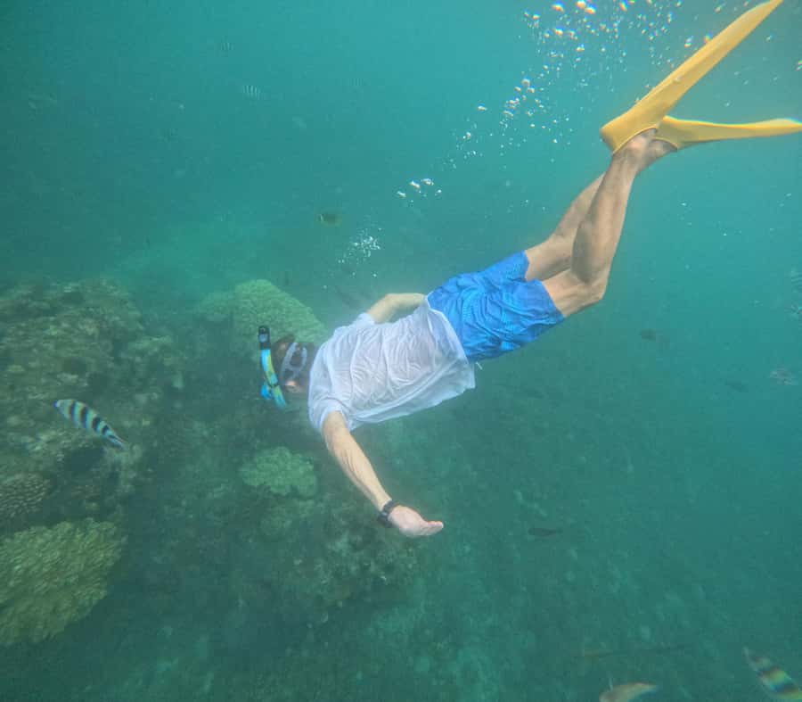Blue Lagoon and Tanjung Jepun Snorkeling Tour - The timing sweet spot: 9:00 AM to 1:00 PM