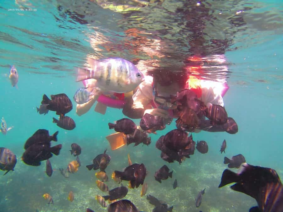 Blue Lagoon and Tanjung Jepun Snorkeling Tour - The route: Tanjung Jepun (45 minutes) then Blue Lagoon (45 minutes)