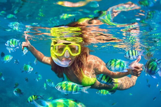 Blue Lagoon Bali Snorkeling Experience - Price and Logistics: does $45.45 feel fair?