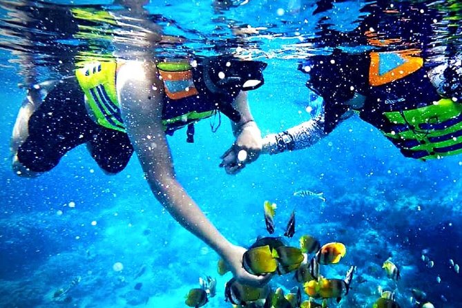 Blue Lagoon Paradise Snorkeling Tour - Quick Takeaways