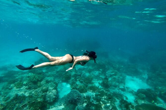 Blue Lagoon Snorkeling and Lunch - Ubud Monkey Forest - Waterfall - Ubud Monkey Forest: finishing with one of Bali’s most famous stops