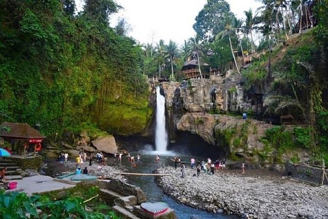 Blue Lagoon Snorkeling and Lunch - Ubud Monkey Forest - Waterfall - Price and value: what $48 really buys you