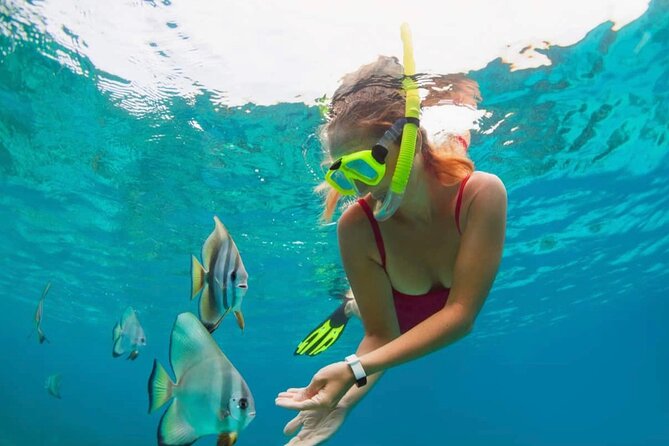 Blue Lagoon Snorkeling and Lunch - Ubud Monkey Forest - Waterfall - Snorkeling at Blue Lagoon: what to expect under the surface