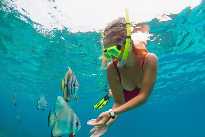 Blue Lagoon Snorkeling and Lunch with Tukad Cepung Waterfall - Key Things You’ll Notice on This Tour