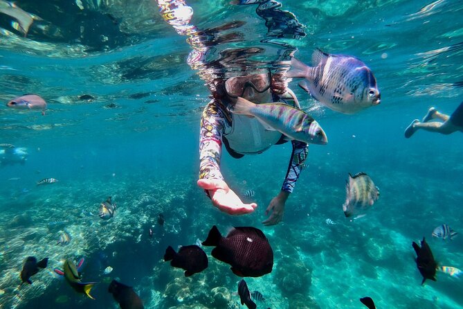 Blue Lagoon Snorkeling and Lunch with Tukad Cepung Waterfall - Price and Value: What $56 Gets You in Real Terms