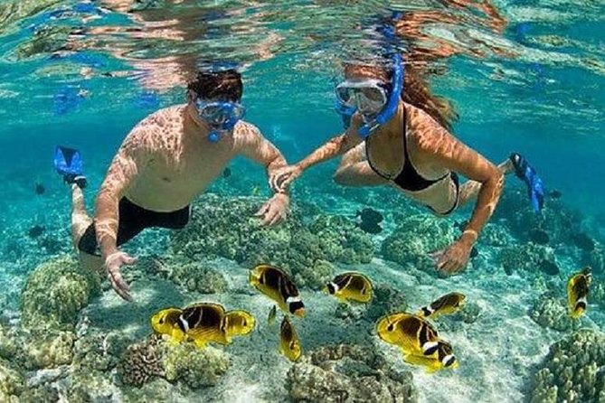 Blue Lagoon Snorkeling and Lunch with Visit Tegenungn Waterfall in Ubud - Why this Blue Lagoon + Tegenungan mix makes sense for first-timers