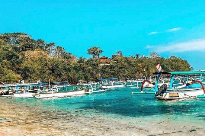 Blue Lagoon Snorkeling and Lunch with Visit Tegenungn Waterfall in Ubud - Price and value: what $55 really covers in this private tour
