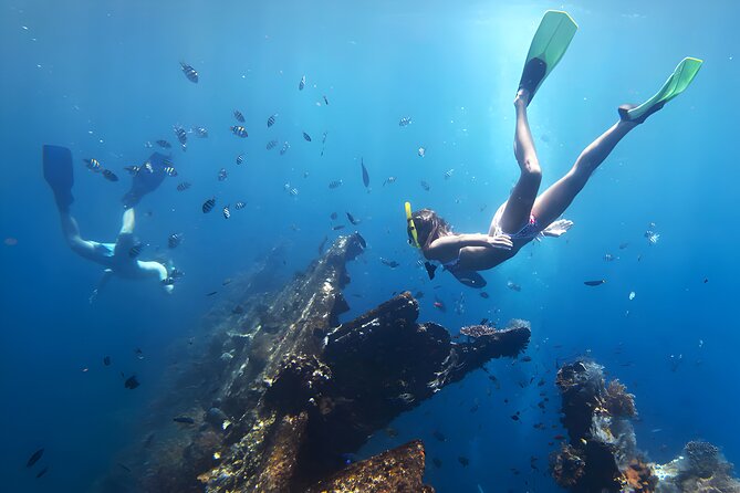 Blue Lagoon Snorkeling and The Gates of Heaven Tour - Blue Lagoon snorkeling: calm water, included gear, and real sea-life odds