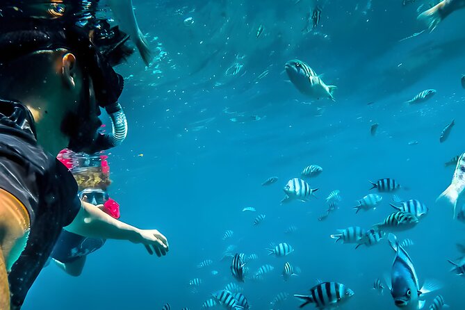 Blue Lagoon Snorkeling - Bali Best Snorkeling Site - Blue Lagoon Snorkeling Bali: Why Calm Water Matters