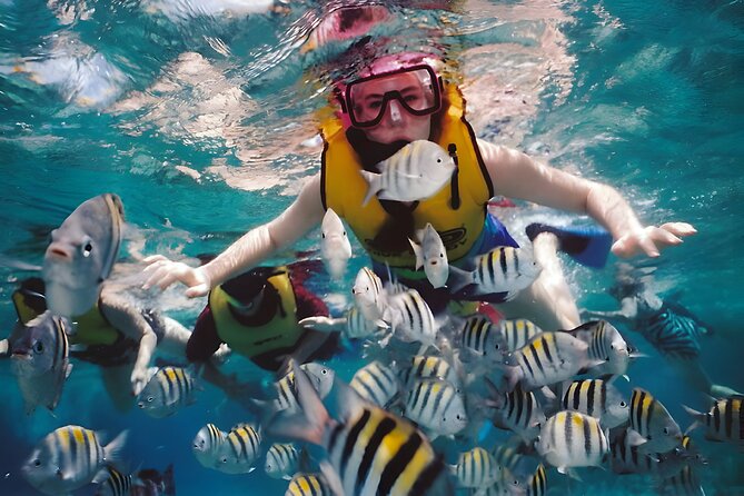 Blue Lagoon Snorkeling - Bali Best Snorkeling Site - Who Should Book This Blue Lagoon Snorkeling Tour