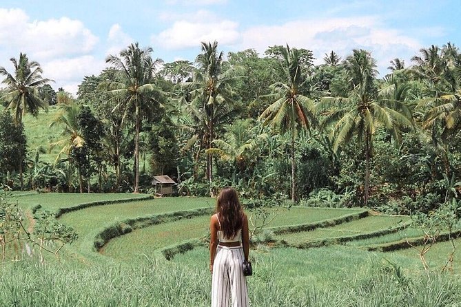 Blue Lagoon Snorkeling - Jungle Swing - Ubud - All Inclusive - The day’s pace: what feels full, what feels free