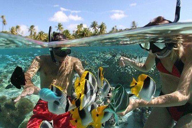 Blue Lagoon Snorkeling - Lunch - Kantolampo - Tibumana Waterfall - Tibumana waterfall: the 20-metre drop and a swimmable-feeling pool