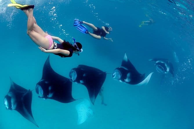 Blue Lagoon Snorkeling with Lunch and Private Transport - Lunch and the comfort factor (what you can expect)