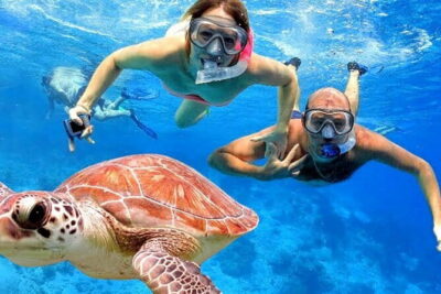 Blue Lagoon Snorkeling with Lunch and Private Transport - Blue Lagoon and Tanjung Jepun: what you’re actually hunting underwater