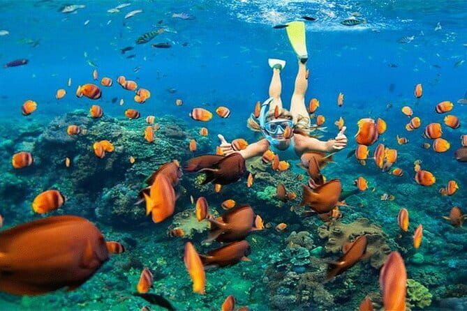 Blue Lagoon Snorkeling with Lunch and Private Transport - Equipment and what’s not included (so there are no surprises)