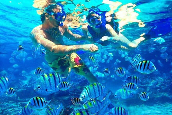 Blue Lagoon Snorkeling with Lunch and Waterfall in Ubud - Private Comfort Starts Before You Hit the Beach
