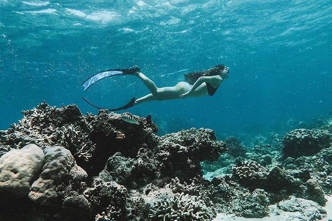 Blue Lagoon Snorkeling with Lunch and Waterfall in Ubud - Segara Windhu Coffee Plantation: Luwak Coffee and a Less Tourist-Heavy Ending