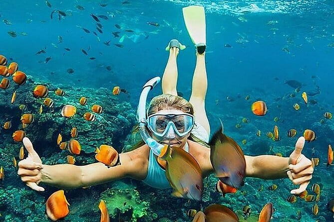 Blue Lagoon Snorkeling with Lunch and Waterfall in Ubud - Blue Lagoon Snorkeling at Ceningan: Gear, Boat Transfers, and Real Time in the Water